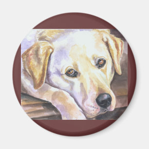 Labrador Retriever Magnete