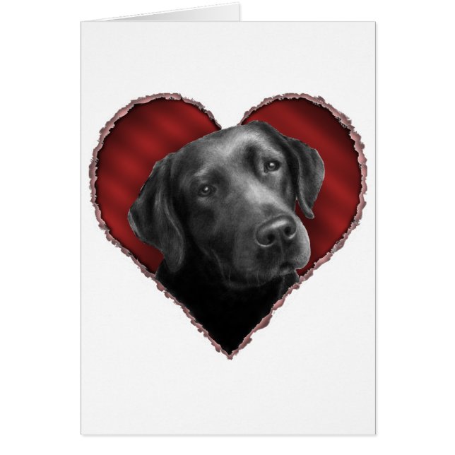 Labrador retriever mit Herzen (Vorne)