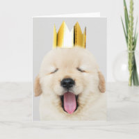 Labrador retriever MIT KRONE gefalteter Gruß-Karte