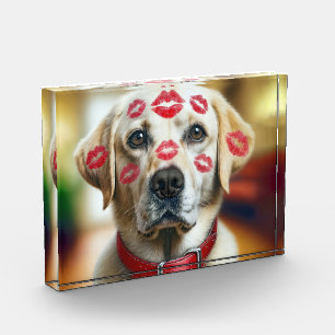 Labrador Retriever mit Lipstick Kisses Fotoblock