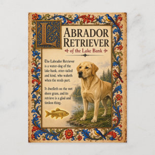 Labrador Retriever, mittelalterliche Bestiarien-Ku Postkarte