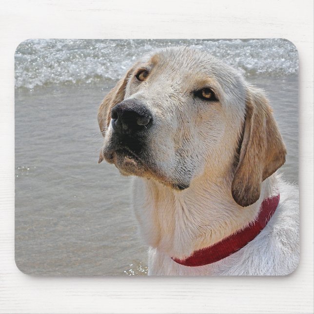 Labrador Retriever Mousepad (Vorne)
