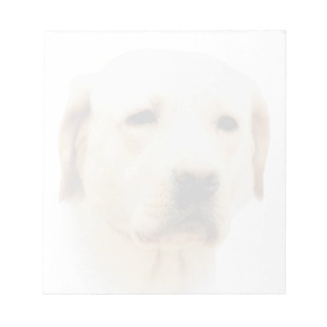 Labrador Retriever Notizblock (Vorderseite)
