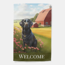 Labrador Retriever on Farm