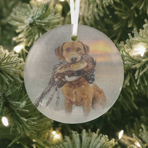 Labrador Retriever Ornament Aus Glas