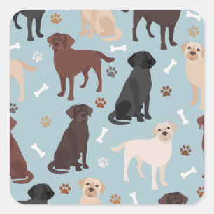 Labrador Retriever Paws and Bones Quadratischer Aufkleber