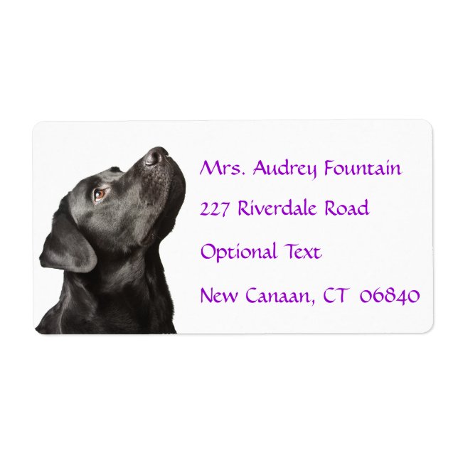 Labrador Retriever Personalisiert Name Address Lab (Vorne)