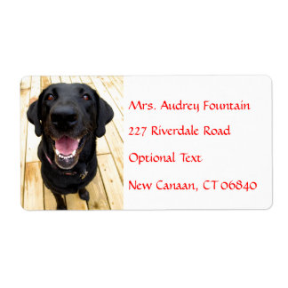 Labrador Retriever Personalisiert Name Address Lab