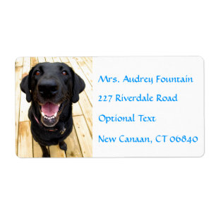 Labrador Retriever Personalisiert Name Address Lab