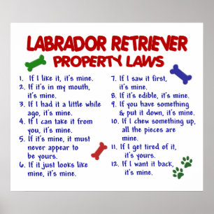 LABRADOR RETRIEVER PL2 POSTER