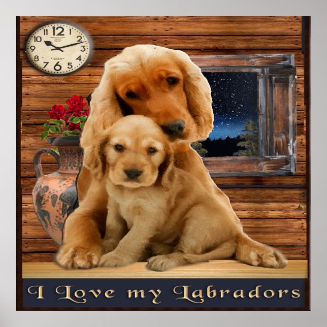 Labrador Retriever-Plakate Poster (Vorne)