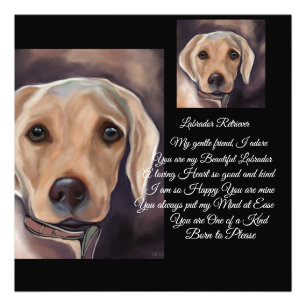 Labrador Retriever Poesie Fotodruck