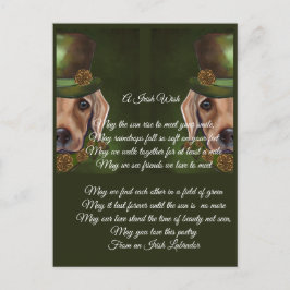 Labrador Retriever Poetry Postkarte