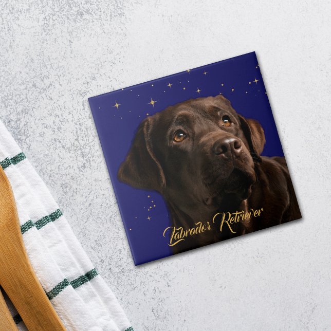 Labrador Retriever Portrait Starry Sky Hintergrund Fliese (Von Creator hochgeladen)