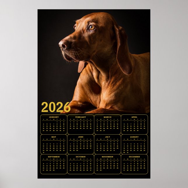Labrador Retriever Portrait with 2026 Calendar Poster (Vorne)