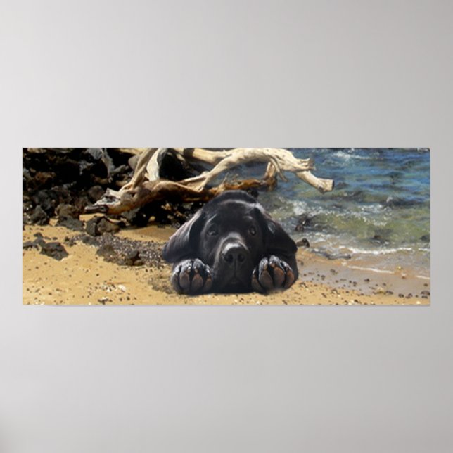 Labrador Retriever Poster Beach (Vorne)