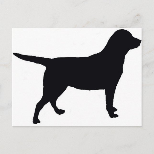 Labrador Retriever Postkarte (Vorderseite)