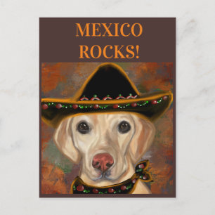 Labrador Retriever Postkarte