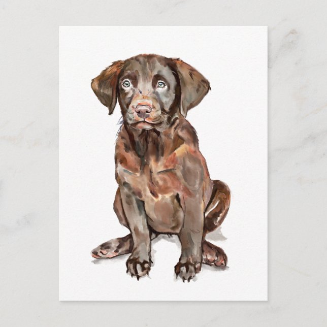 Labrador Retriever Postkarte (Vorderseite)