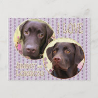 Labrador Retriever Postkarte