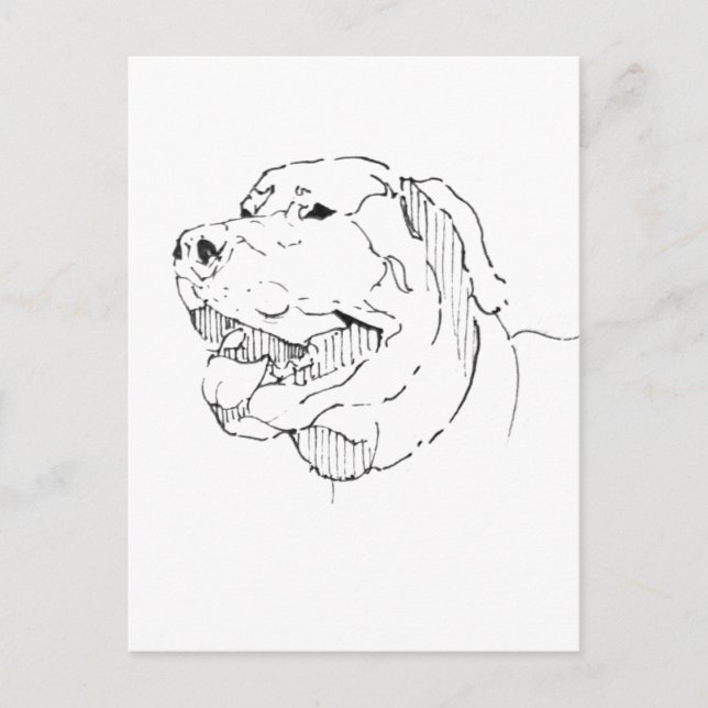 Labrador Retriever Postkarte – Handgezeichnete Tin (Vorderseite)