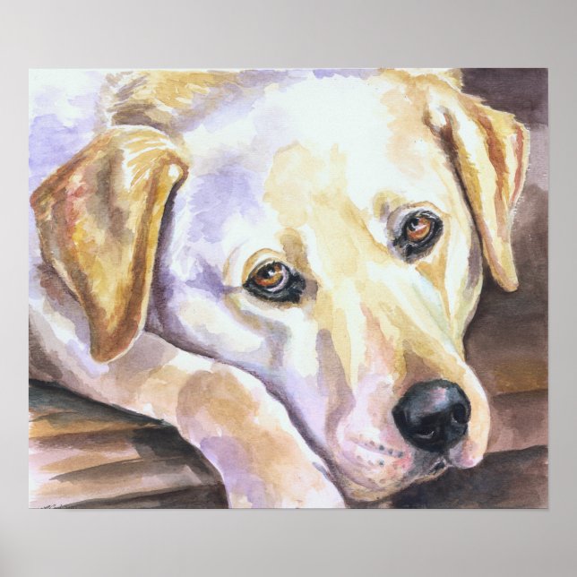 Labrador Retriever Print Poster (Vorne)