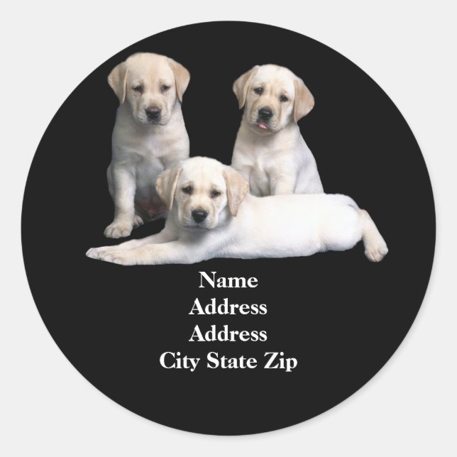 Labrador Retriever Puppy Address Label Runder Aufkleber (Vorderseite)