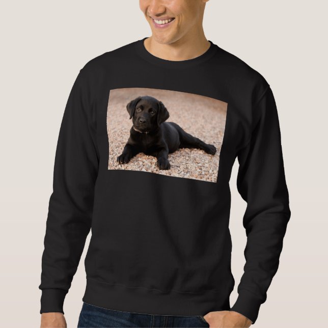 Labrador Retriever Puppy Sweatshirt (Vorderseite)