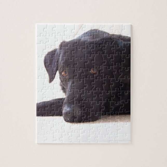 labrador retriever puzzle (Vertikal)