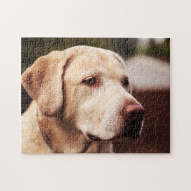 Labrador Retriever Puzzle (Horizontal)
