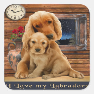 Labrador Retriever Quadratischer Aufkleber