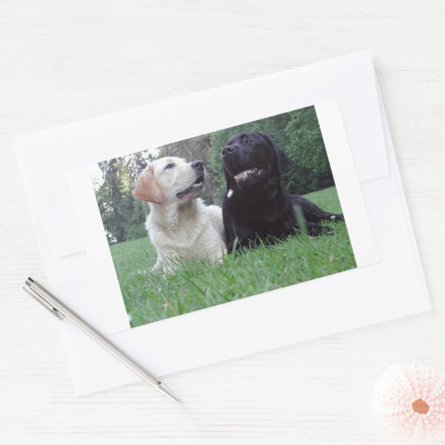 Labrador Retriever Rechteckiger Aufkleber (Umschlag)