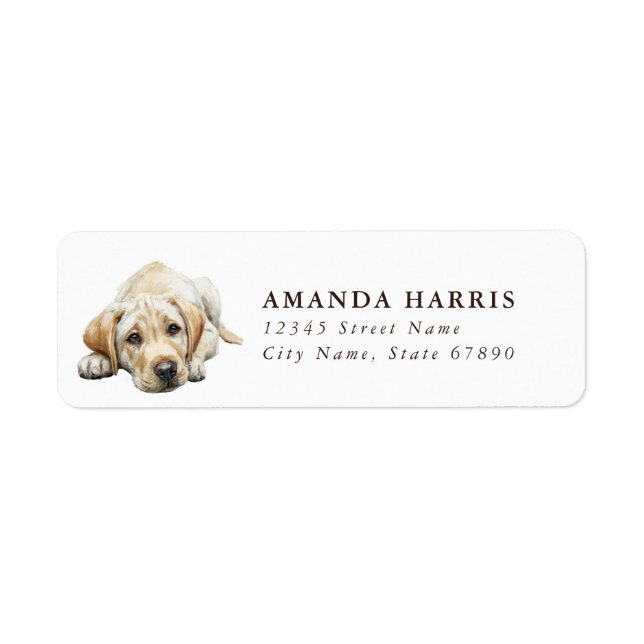Labrador Retriever Return Address Labels (Vorne)