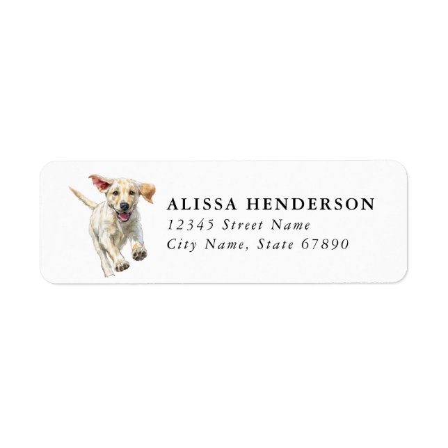 Labrador Retriever Rücksendeadressetiketten (Vorne)