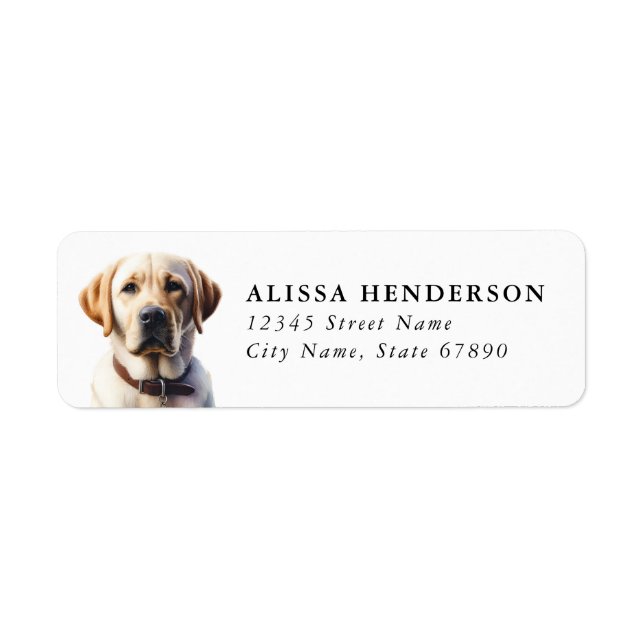 Labrador Retriever Rücksendeadressetiketten (Vorne)