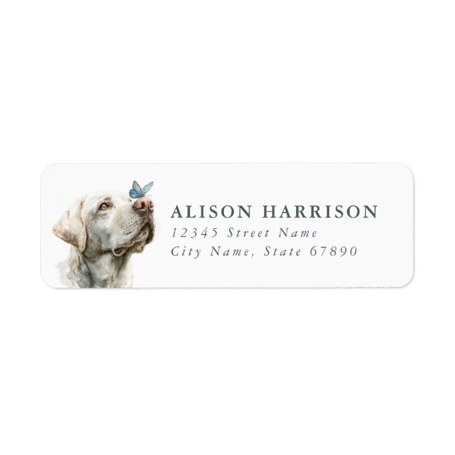 Labrador Retriever Rücksendeadressetiketten (Vorne)