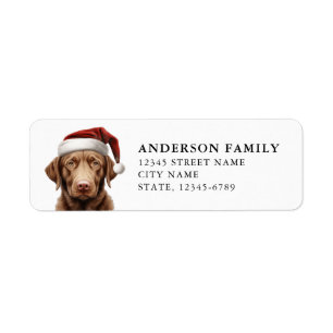 Labrador Retriever Rücksendeadressetiketten