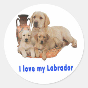 Labrador Retriever Runder Aufkleber