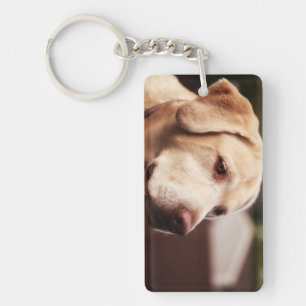 Labrador Retriever Schlüsselanhänger
