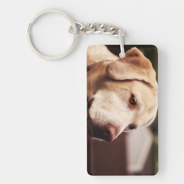 Labrador retriever schlüsselanhänger (Vorderseite)