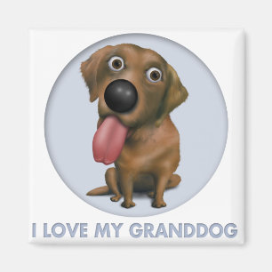 Labrador retriever (Schokolade) Granddog Magnet