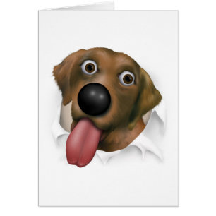 Labrador retriever (Schokolade) heraus sprengend