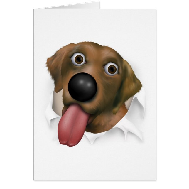 Labrador retriever (Schokolade) heraus sprengend (Vorne)