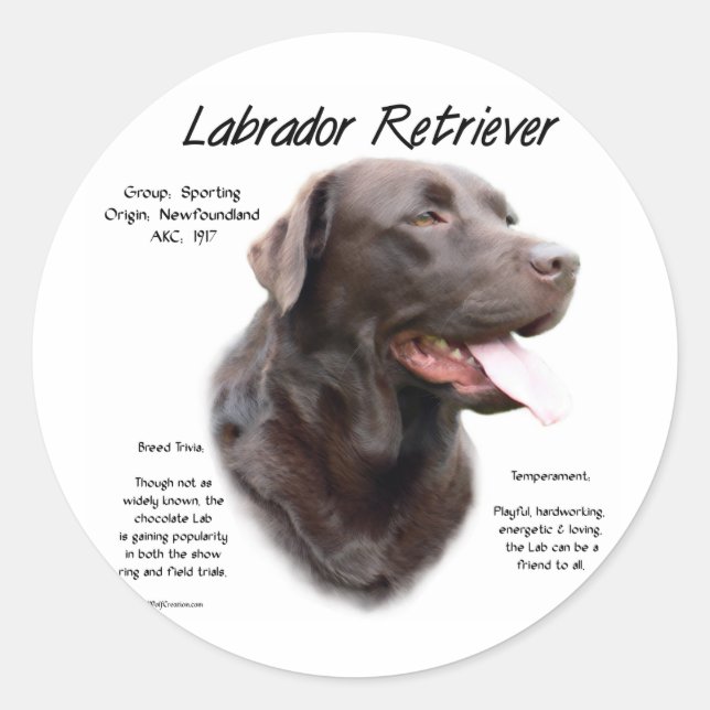 Labrador Retriever (Schokolade) Historisches Desig Runder Aufkleber (Vorderseite)