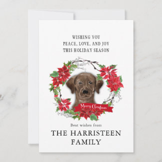 Labrador Retriever Schokolade Poinsettia Weihnacht Feiertagskarte