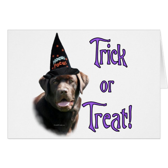Labrador Retriever (Schokolade) Trick (Vorderseite (Horizontal))