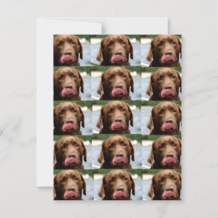 Labrador Retriever Schokoladen-Kacheln BG Mitteilungskarte