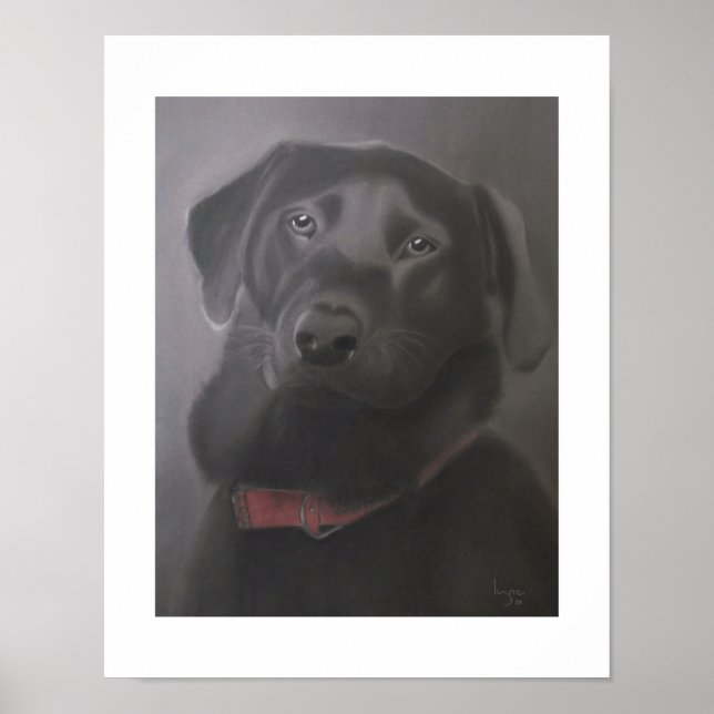 Labrador Retriever Schöne 11x14 Poster (Vorne)