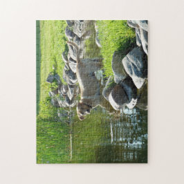 Labrador Retriever See-Felsen Puzzle
