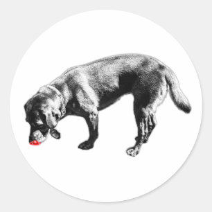 Labrador Retriever Sniffing Red Tongue Tinte Art Runder Aufkleber